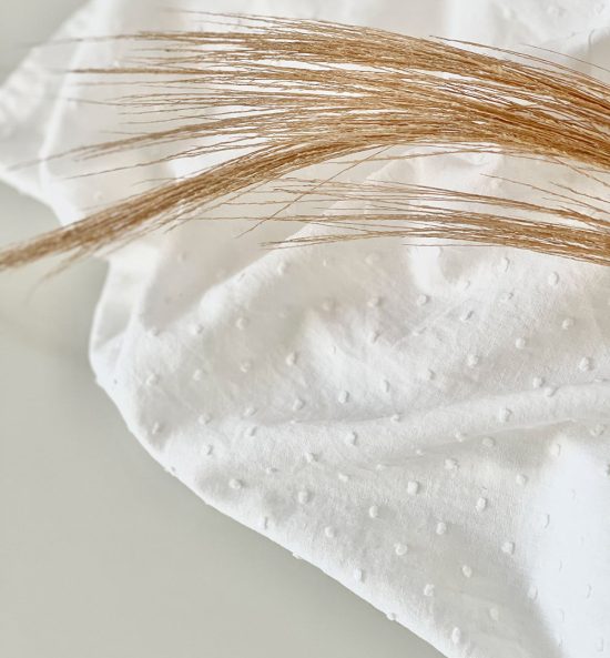 bawełna
